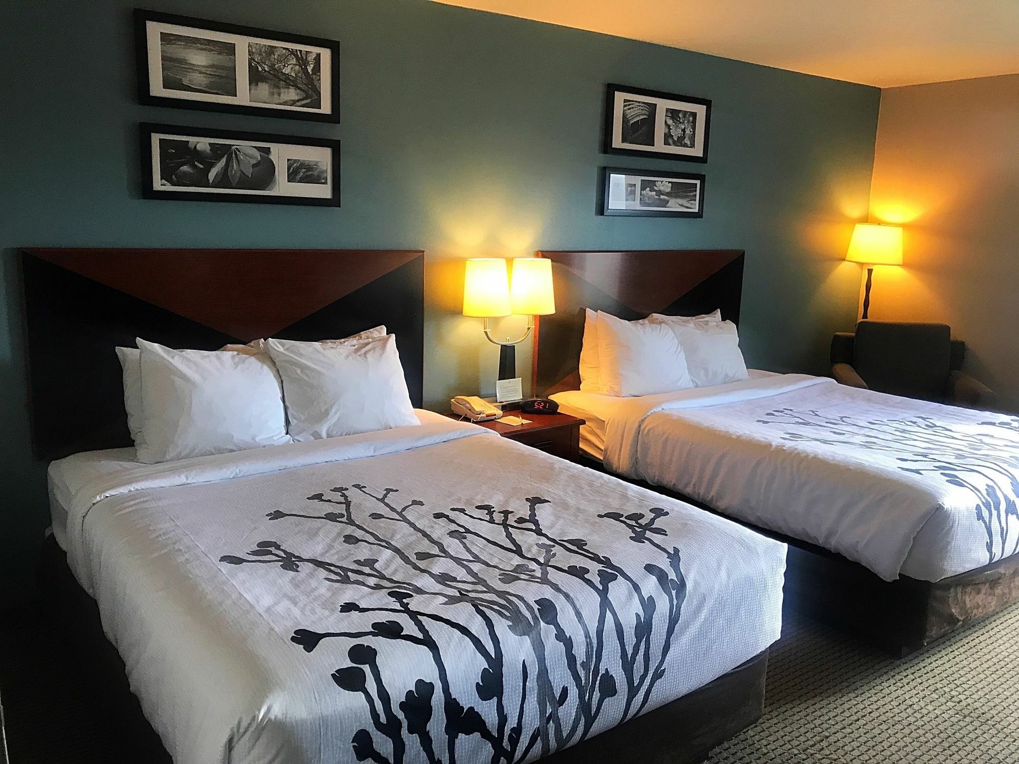 Sleep Inn & Suites Рапид Сити Екстериор снимка